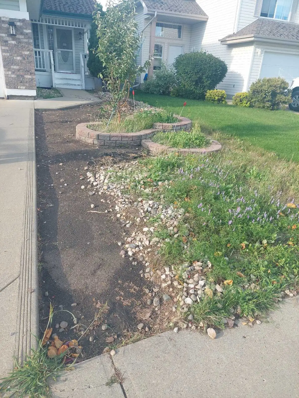 Yard workspace during tarp protective setup