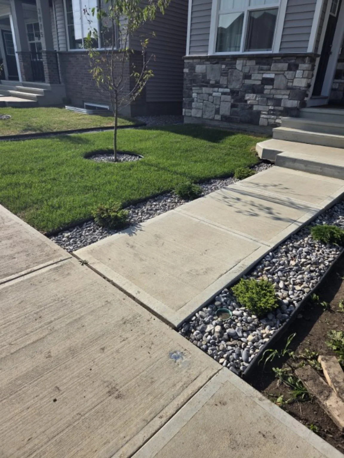 Finished walkway with shrubs and decorative rock