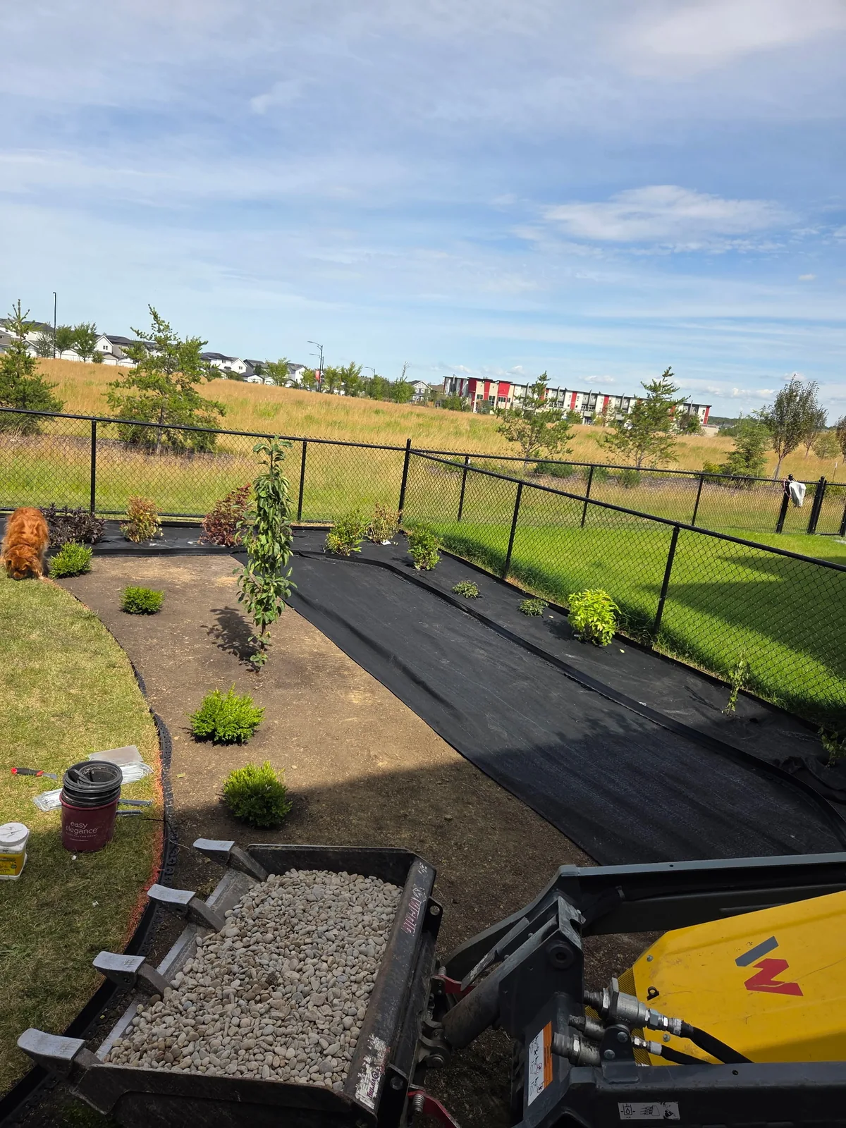 Landscape fabric, planting layout and pathway preparation in progress