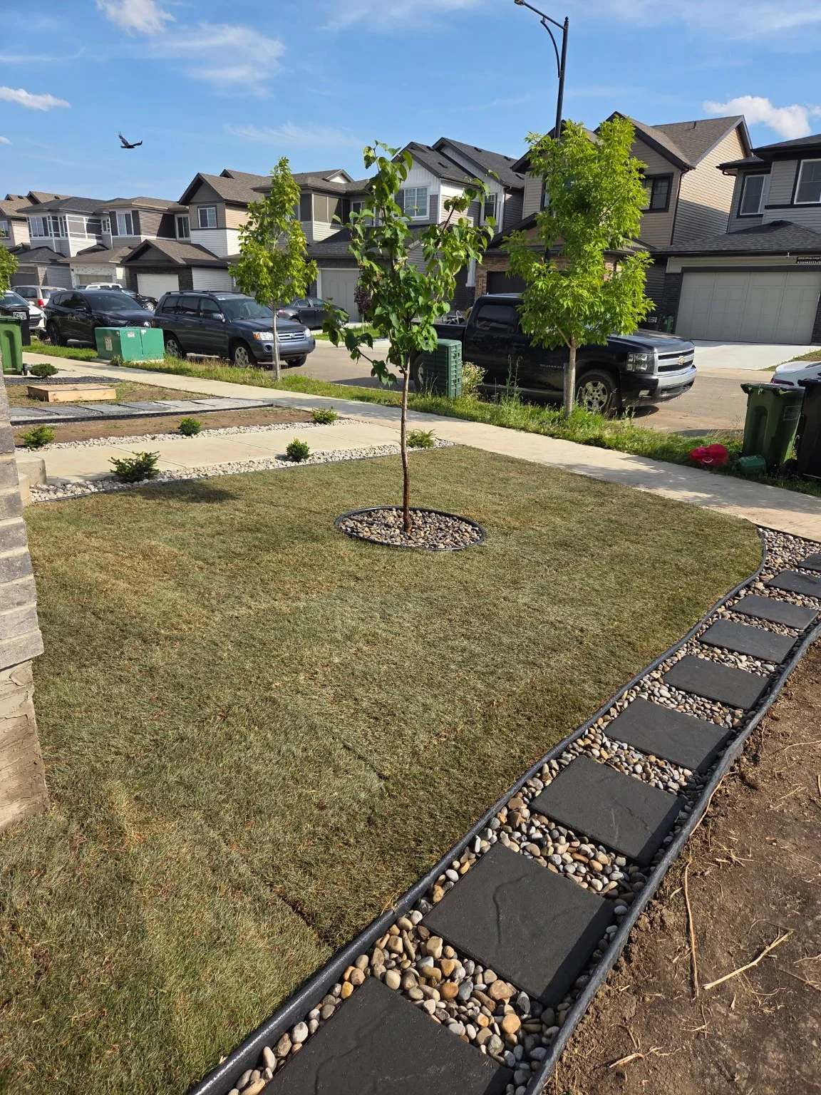 Finished lawn, tree and stepping-stone path