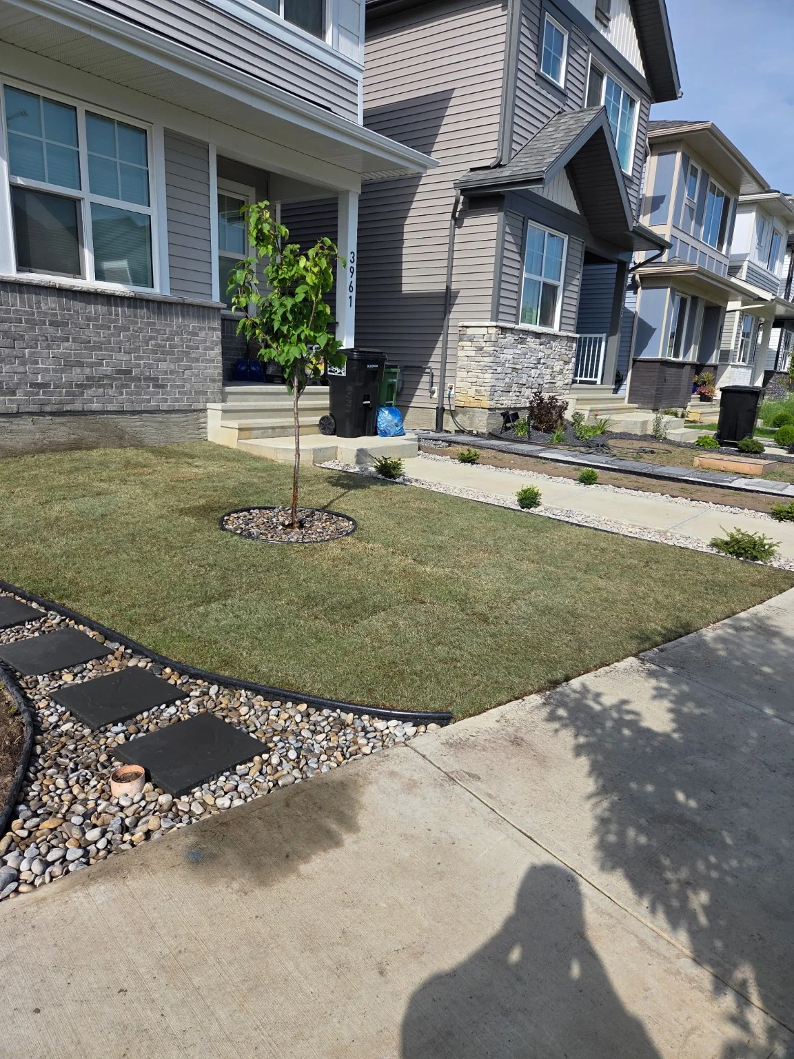Finished front yard with fresh sod, a new tree, rock beds and shrubs